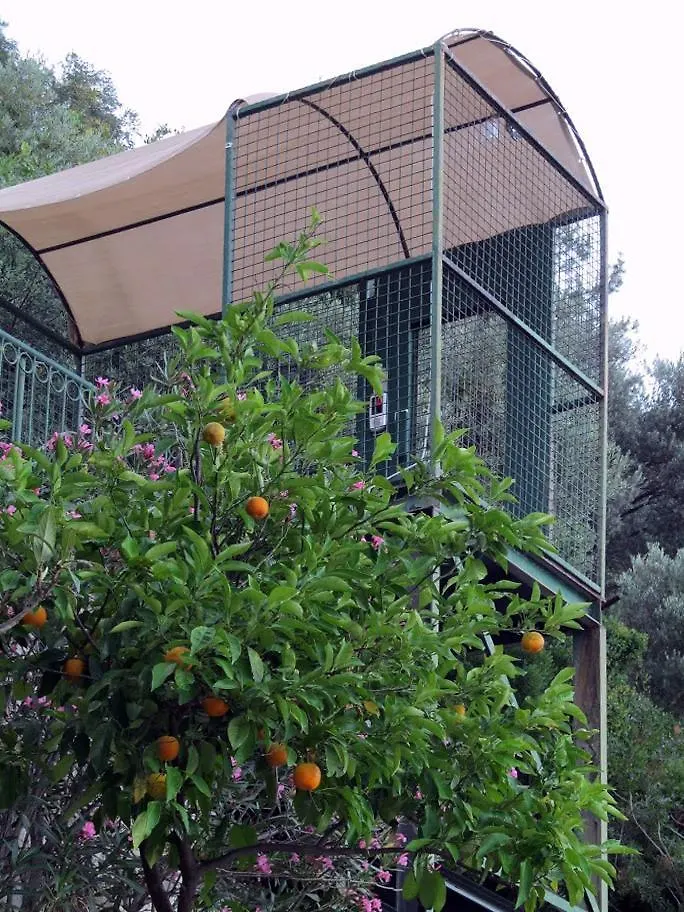 Serena Suites Turunc 0*,  Törökország